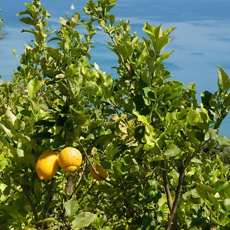 Appartement Le Terrazze Vacanze