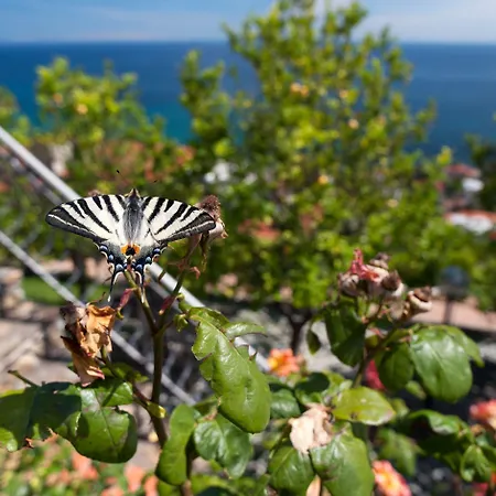 Appartement Le Terrazze Vacanze *