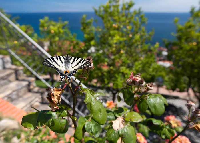 Apartman Le Terrazze Vacanze *